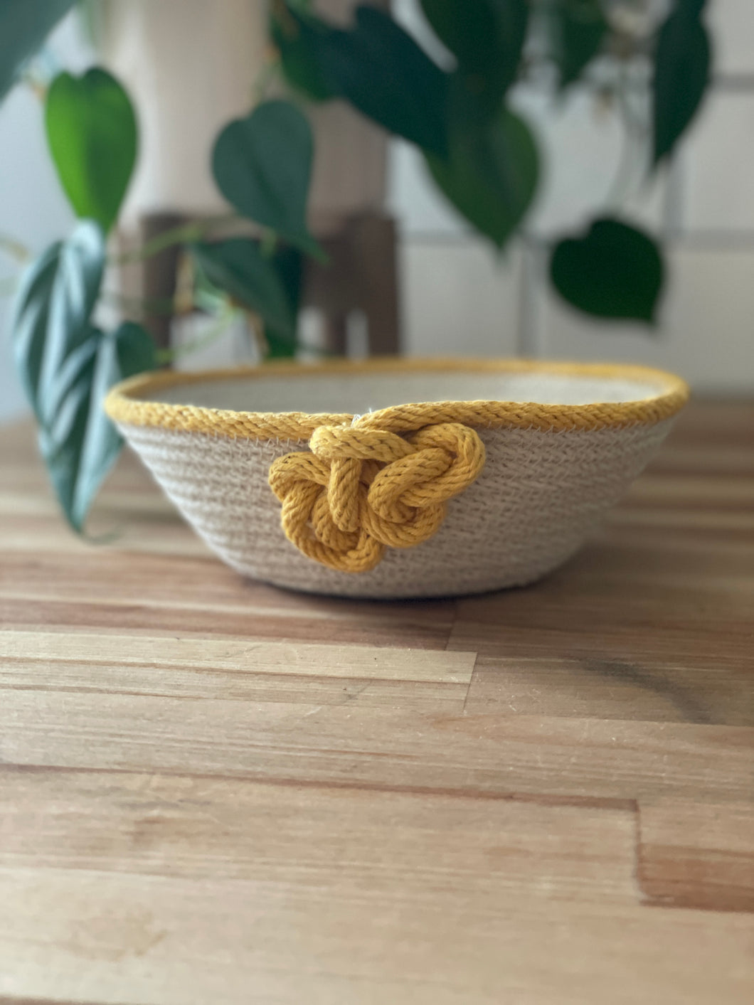 Small Yellow on White Bowl