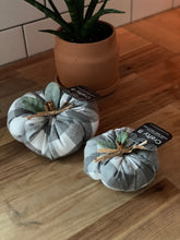 Load image into Gallery viewer, Individual Pumpkins
